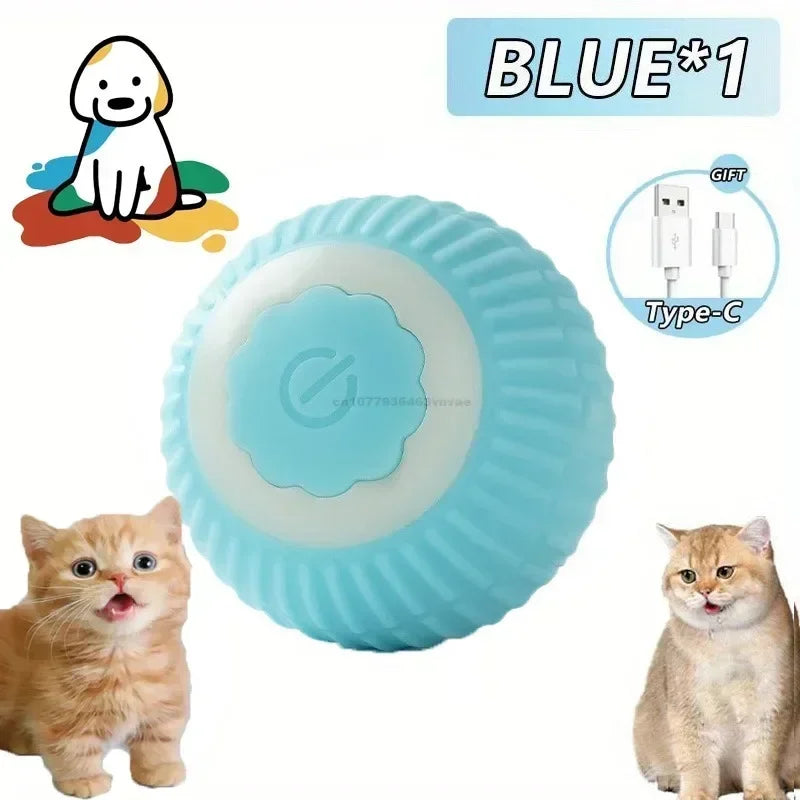 CN Zhejiang Interactive Rolling Cat Ball Toy for Indoor Pets