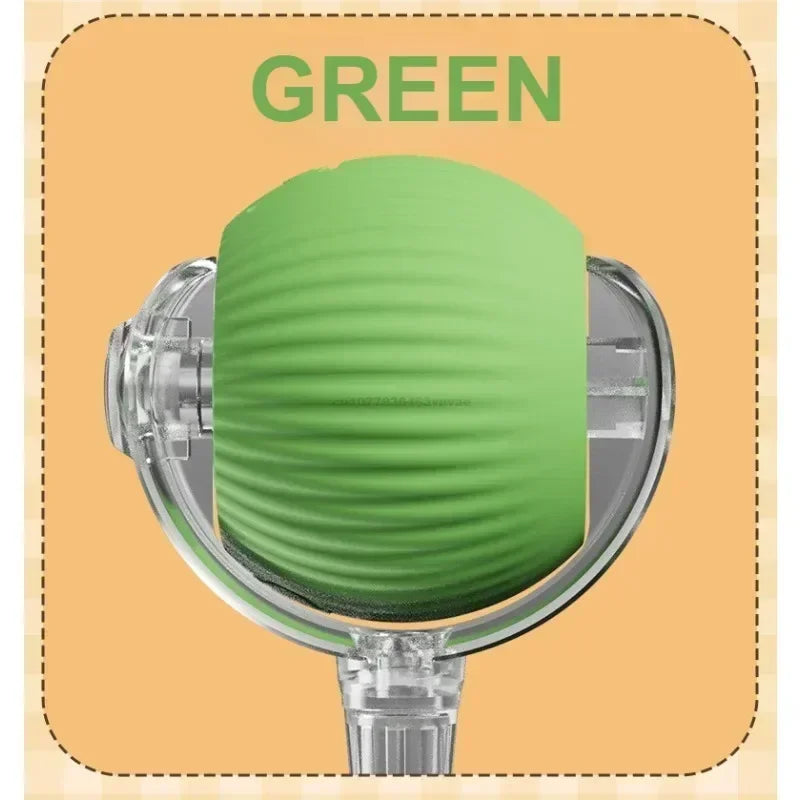 CN Zhejiang Interactive Rolling Cat Ball Toy for Indoor Pets