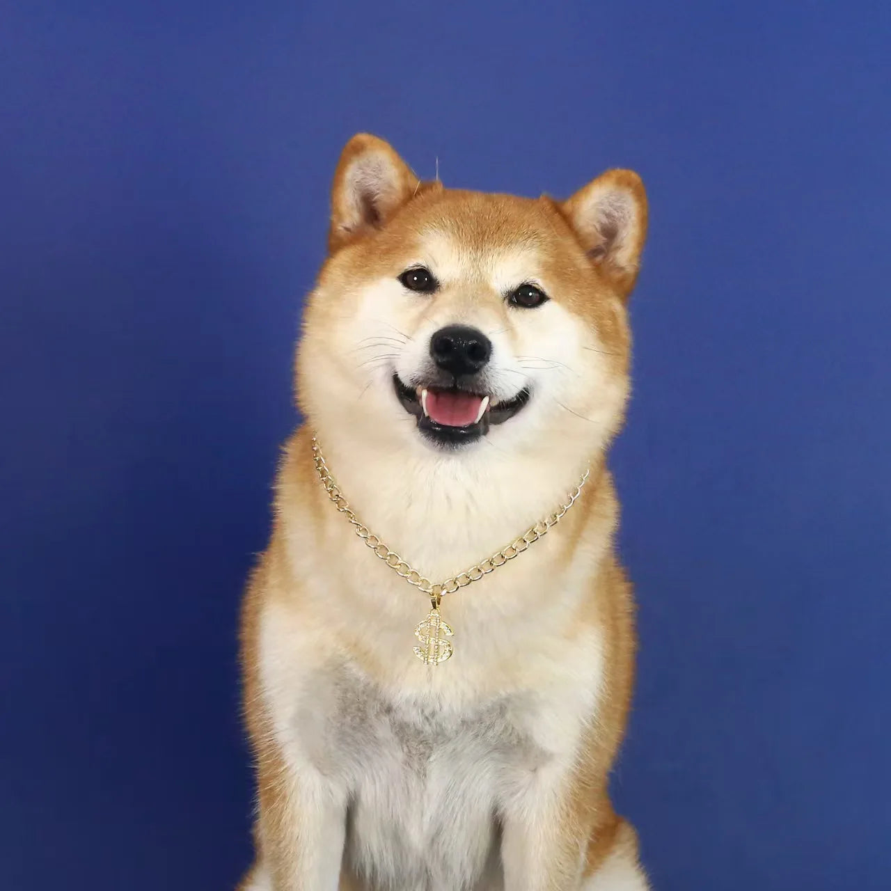 Choice Zircon Pet Necklace For Cats And Small Dogs