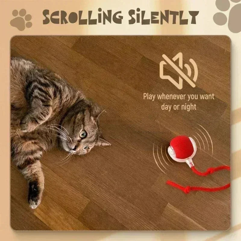 CN Zhejiang Interactive Rolling Cat Ball Toy for Indoor Pets