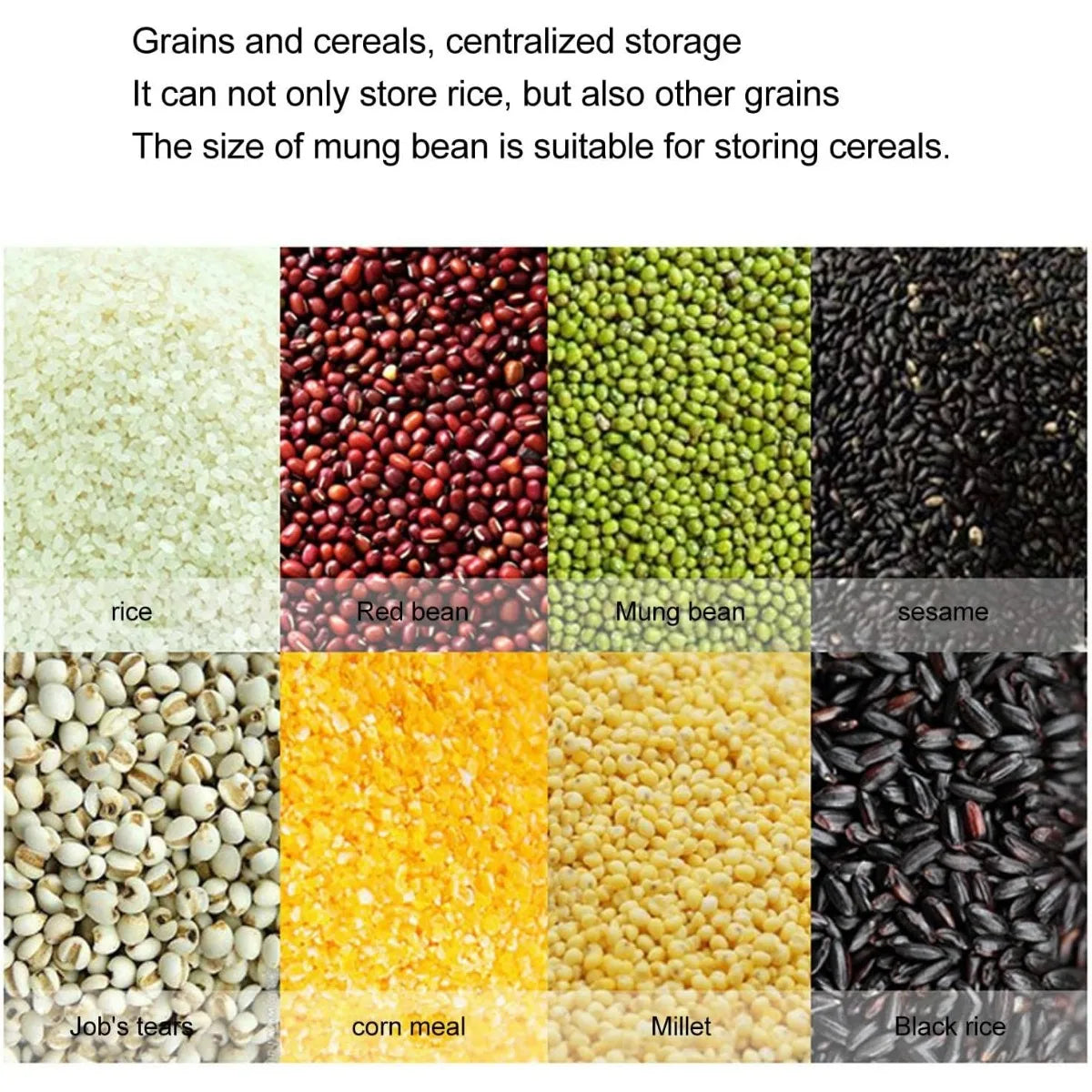 Wall Mounted Cereal Dry Food Dispenser 10L for Kitchen Pantry Organization Containers for Rice Dispenser with Measuring Cup