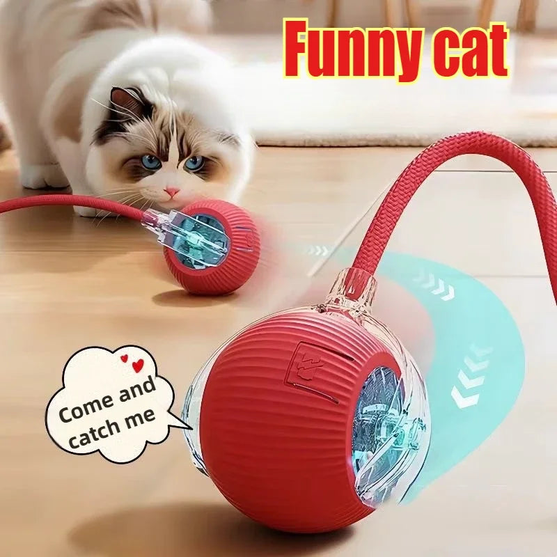 CN Zhejiang Interactive Rolling Cat Ball Toy for Indoor Pets