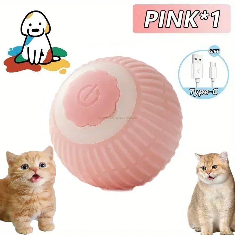 CN Zhejiang Interactive Rolling Cat Ball Toy for Indoor Pets