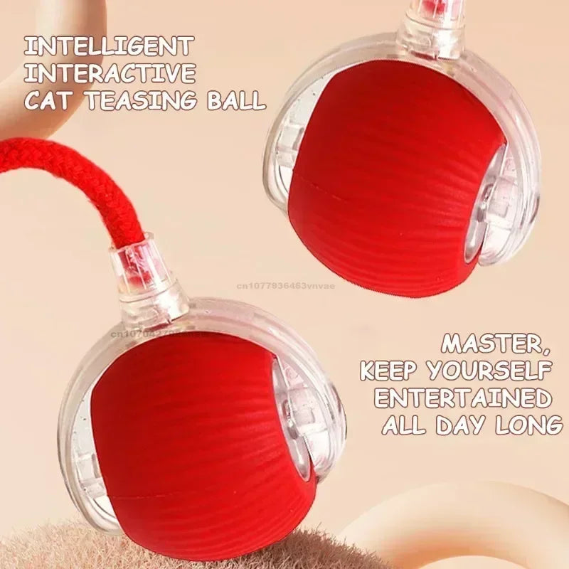 CN Zhejiang Interactive Rolling Cat Ball Toy for Indoor Pets