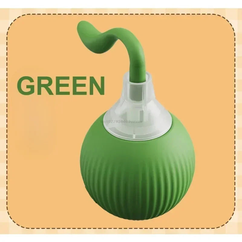 CN Zhejiang Interactive Rolling Cat Ball Toy for Indoor Pets