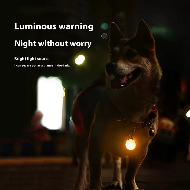 CN Guangdong Led Luminous Dog Cat Collar Glowing Pendant