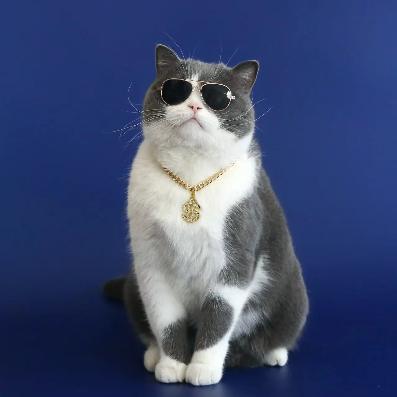 Choice Zircon Pet Necklace For Cats And Small Dogs