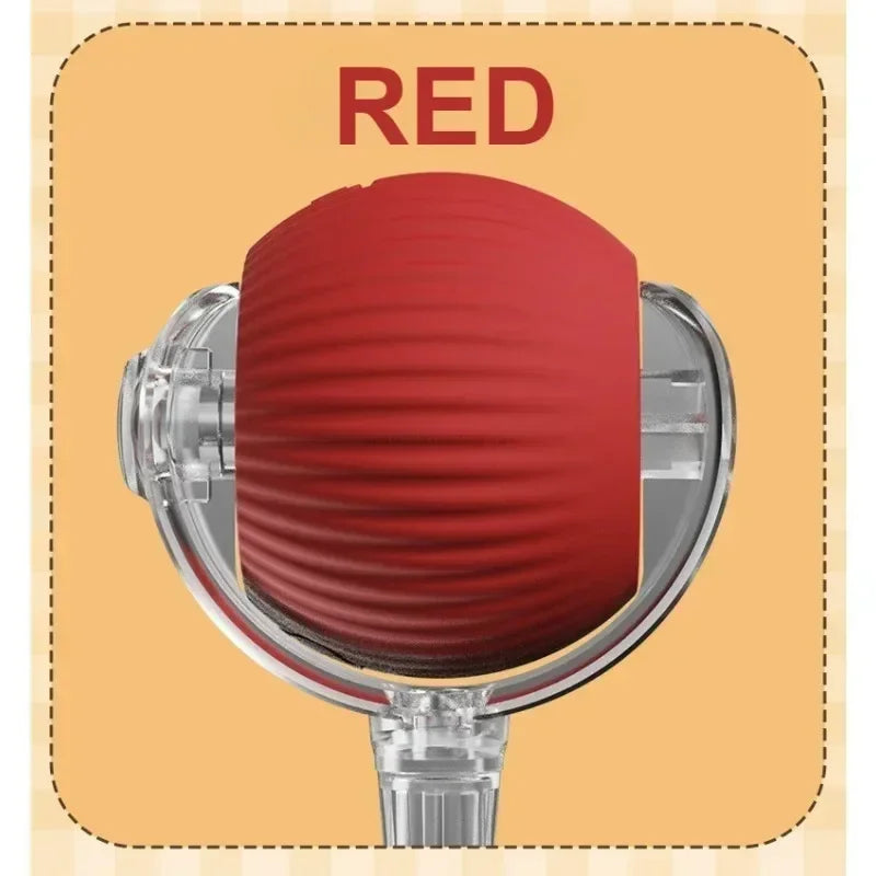 CN Zhejiang Interactive Rolling Cat Ball Toy for Indoor Pets