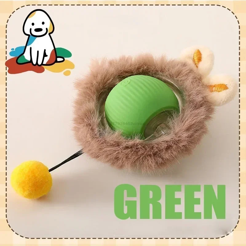CN Zhejiang Interactive Rolling Cat Ball Toy for Indoor Pets