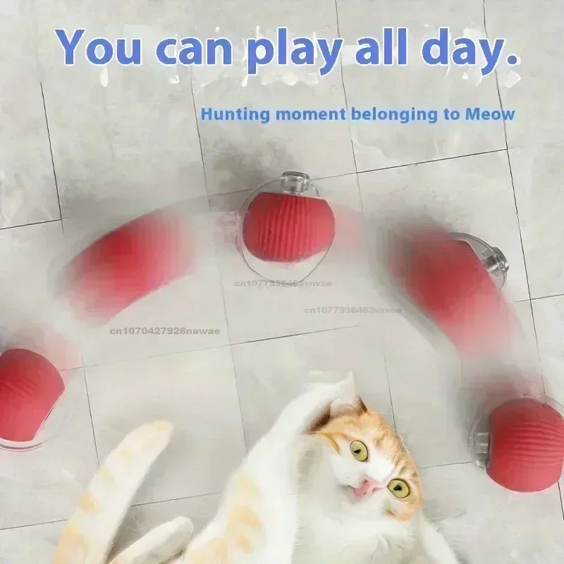 CN Zhejiang Interactive Rolling Cat Ball Toy for Indoor Pets